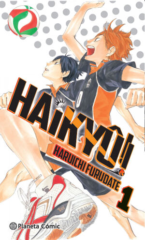 HAIKYÛ!! Nº 01 HINATA Y KAGYAMA