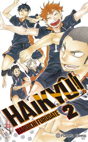 HAIKYU Nº 02 EL PAISAJE DESDE LA CIMA