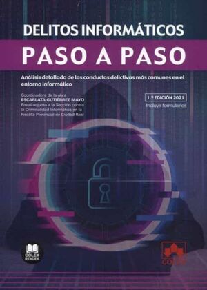 DELITOS INFORMÁTICOS. PASO A PASO