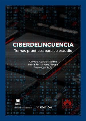 CIBERDELINCUENCIA: TEMAS PRÁCTICOS PARA SU ESTUDIO