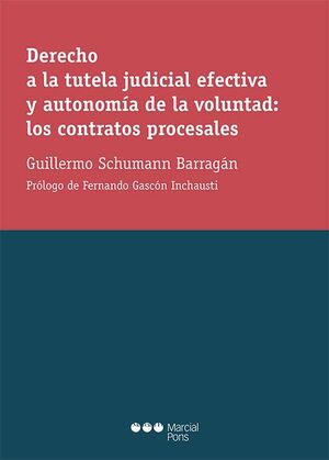 DERECHO A LA TUTELA JUDICIAL EFECTIVA Y AUTONOMÍA DE LA VOLUNTAD: LOS CONTRATOS