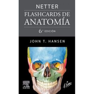 NETTER. FLASHCARDS DE ANATOMÍA  (CAJA)  (6ª EDIC.)