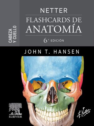 NETTER. FLASHCARDS DE ANATOMÍA. CABEZA Y CUELLO