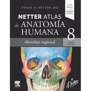 NETTER. ATLAS DE ANATOMÍA HUMANA. ABORDAJE REGIONAL