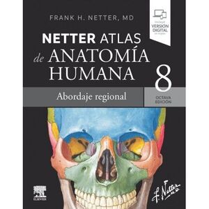 NETTER ATLAS DE ANATOMIA HUMANA. ABORDAJE REGIONAL