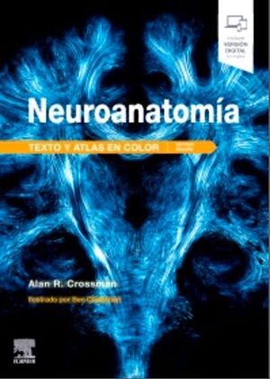 NEUROANATOMIA