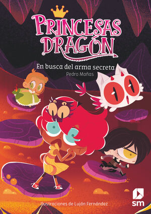 PRINCESAS DRAGON 13. EN BUSCA DEL ARMA SECRETA