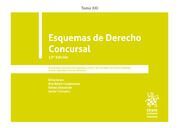 ESQUEMAS DE DERECHO CONCURSAL. TOMO XXI