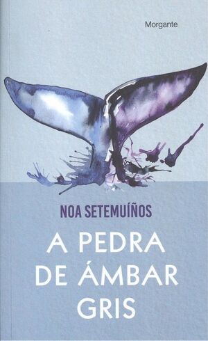 A PEDRA DE ÁMBAR GRIS