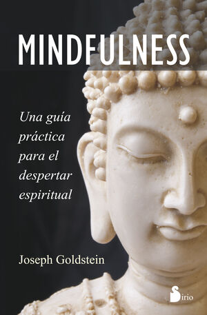 MINDFULNESS: UNA GUIA PRACTICA PARA EL DESPERTAR ESPIRITUAL