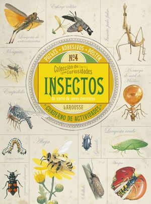 CURIOSIDADES INSECTOS. CUADERNO DE ACTIVIDADES
