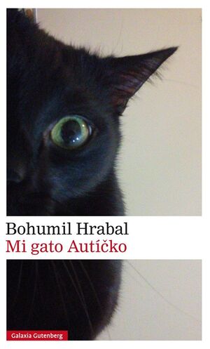 MI GATO AUTÍCKO