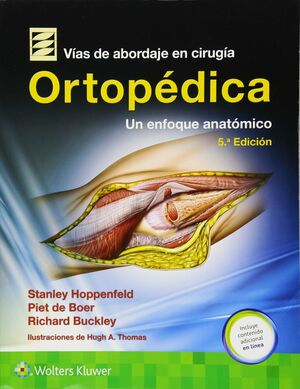 VIAS DE ABORDAJE EN CIRUGIA ORTOPEDICA. UN ENFOQUE ANATOMICO