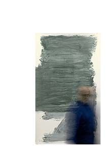 CAMINANDO SOBRE LA TIERRA ENTRE ÁRBOLES Y PIEDRAS