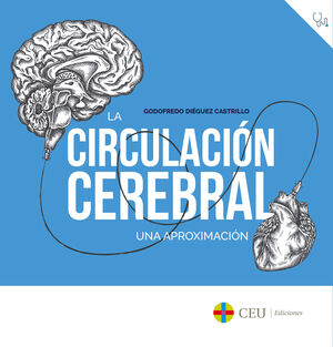 LA CIRCULACIÓN CEREBRAL.