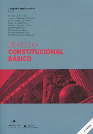 DERECHO CONSTITUCIONAL BASICO 2023