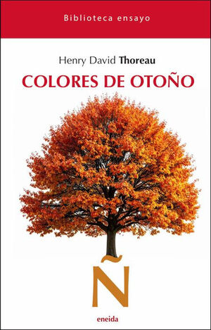 COLORES DE OTOÑO