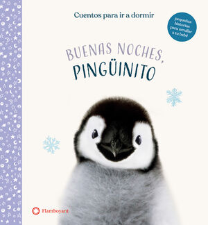 BUENAS NOCHES PINGÜINITO