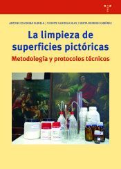 LA LIMPIEZA DE SUPERFICIES PICTÓRICAS