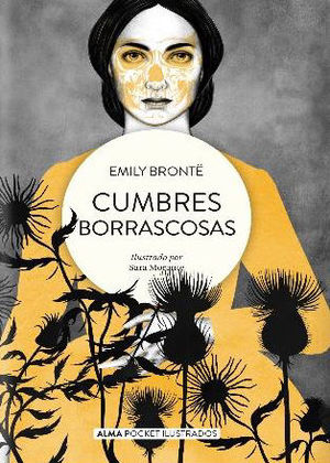 CUMBRES BORRASCOSAS - POCKET