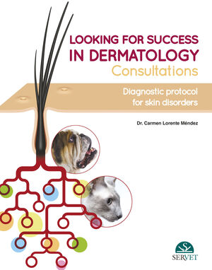 LOOKING FOR SUCCESS IN DERMATOLOGY CONSULTATIONS. DIAGNOSTIC PROTOCOL FOR SKIN D