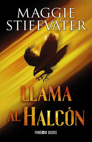 LLAMA AL HALCON (TRILOGIA SOÑADORES, 1)