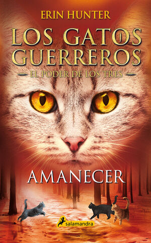 AMANECER (GATOS GUERREROS / PODER DE LOS TRES, 6)