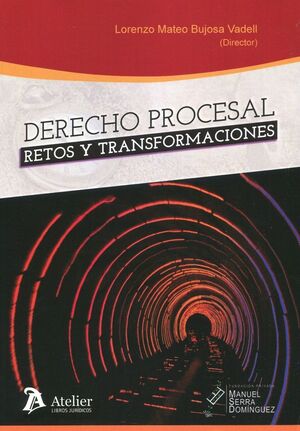 DERECHO PROCESAL: RETOS Y TRANSFORMACIONES