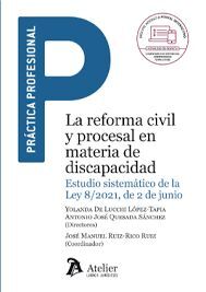 REFORMA CIVIL Y PROCESAL EN MATERIA DE DISCAPICIDAD ESTUDIO