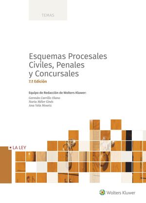 ESQUEMAS PROCESALES CIVILES, PENALES Y CONCURSALES (7.ª EDICIÓN)