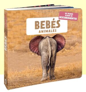 BEBÉS ANIMALES