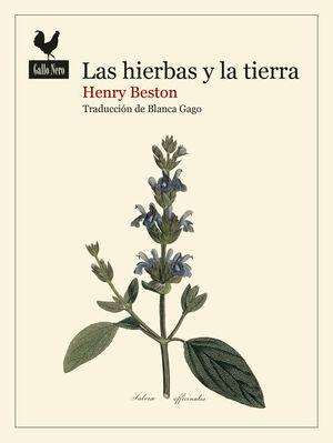 HIERBAS Y LA TIERRA, LAS