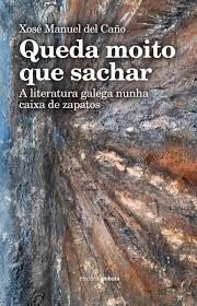 QUEDA MOITO QUE SACHAR.A LITERATURA GALEGA NUNHA CAIXA DE ZAPATOS
