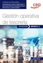 MANUAL. GESTIÓN OPERATIVA DE TESORERÍA (MF0979_2). CERTIFICADOS DE PROFESIONALID