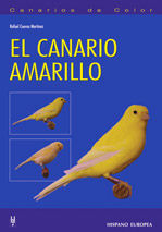 EL CANARIO AMARILLO