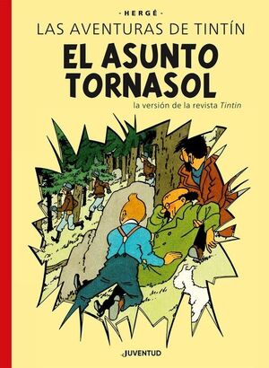ASUNTO TORNASOL E.E., EL
