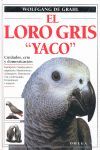 EL LORO GRIS 'YACO'