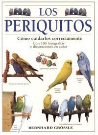 LOS PERIQUITOS : CÓMO CUIDARLOS CORRECTAMENTE