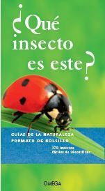 ¿QUE INSECTO ES ESTE?