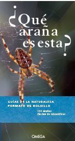 ¿QUE ARAÑA ES ESTA?