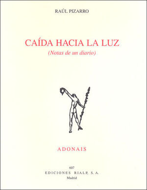 CAÍDA HACIA LA LUZ (NOTAS DE UN DIARIO)