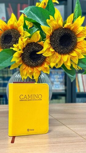 CAMINO (BOLSILLO, PIEL SINTETICA)