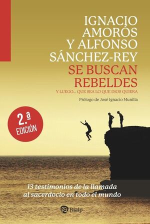SE BUSCAN REBELDES