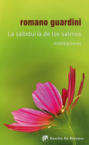 LA SABIDURÍA DE LOS SALMOS. MEDITACIONES