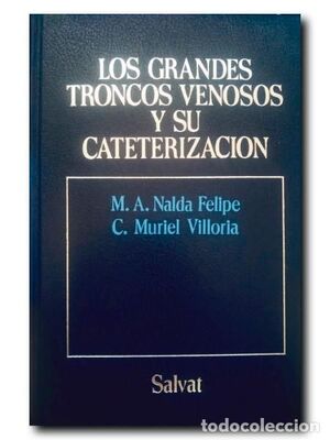 GRANDES TRONCOS VENOSOS Y SU CATERIZACIÓN, LOS