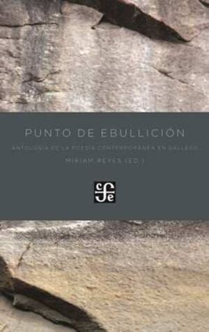 PUNTO DE EBULLICION. ANTOLOGIA POESIA CONTEMPORANEA EN GALLEGO