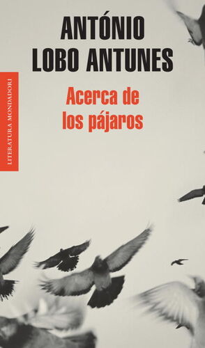 ACERCA DE LOS PÁJAROS