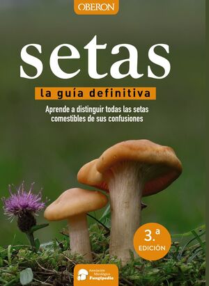 SETAS LA GUIA DEFINITIVA