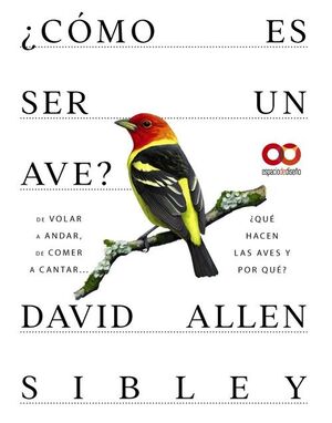 ¿CÓMO ES SER UN AVE? DE VOLAR A ANIDAR, DE COMER A CANTAR... ¿QUÉ HACEN LAS AVES Y POR QUÉ?