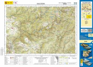 MTN 25. HOJA 156-IV, SALCEDO (1:25.000)